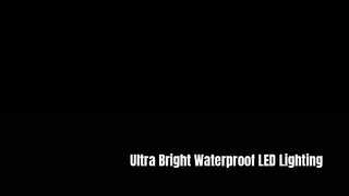 Projecteur LED étanche IP65 IK03-EC à haute luminosité, corps en aluminium