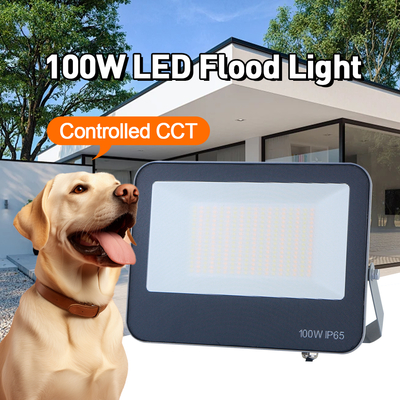 Éclairage extérieur LED 3CCT 3000K 4000K 6500K Température de couleur réglable IP65 Matériau gris étanche à l'eau Lampe de haute qualité